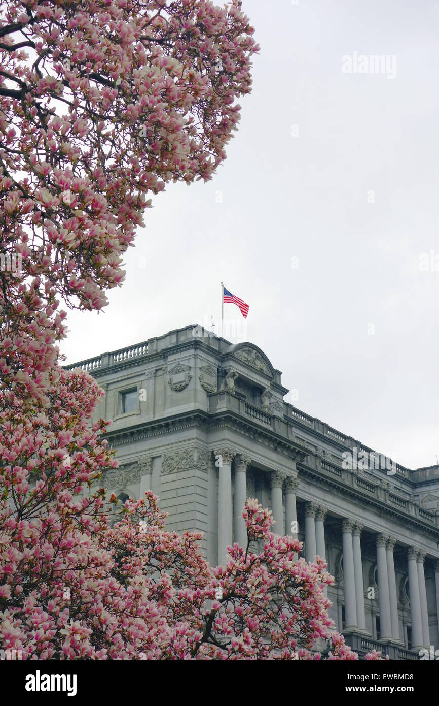 La Biblioteca del Congresso facciata di edificio in Washington DC Foto Stock