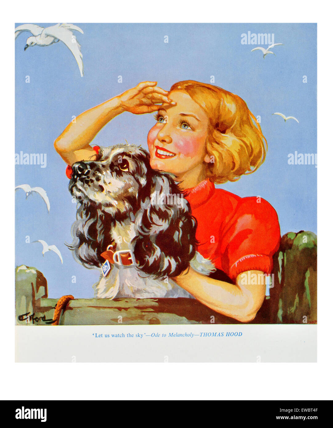 Estate ritratto di donna con il suo cane spaniel fissando lo sguardo verso il cielo con i gabbiani Foto Stock