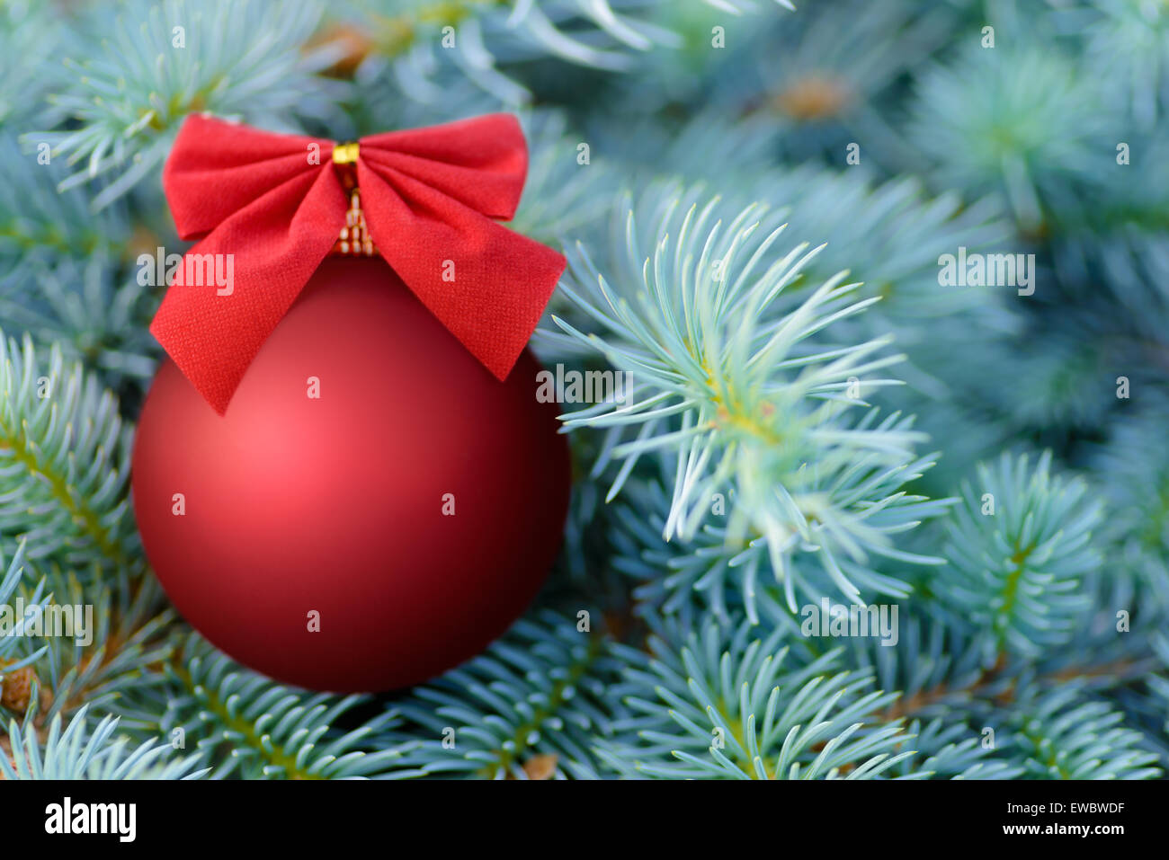 Natale e Anno Nuovo: rosso pallina decorata con prua su un blu abete, bello sfondo stagionali Foto Stock