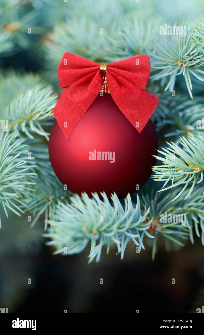 Natale e Anno Nuovo: rosso pallina decorata con prua su un blu abete, bello sfondo stagionali Foto Stock