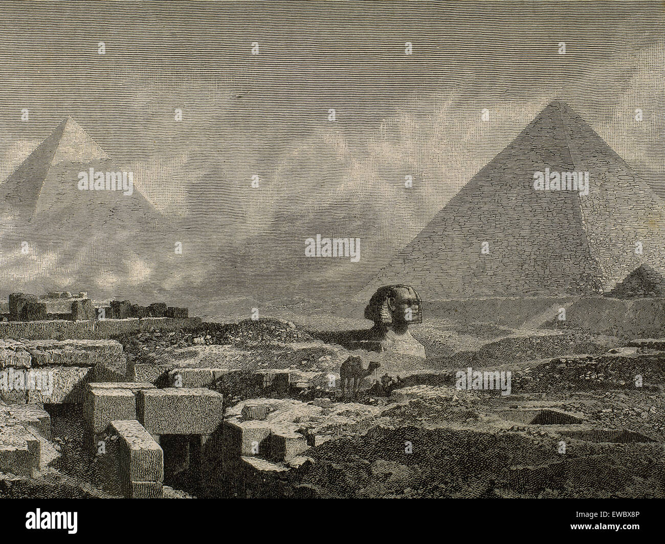 L'Egitto. Grande Sfinge e piramidi di Giza. Incisione. Xix secolo. Foto Stock
