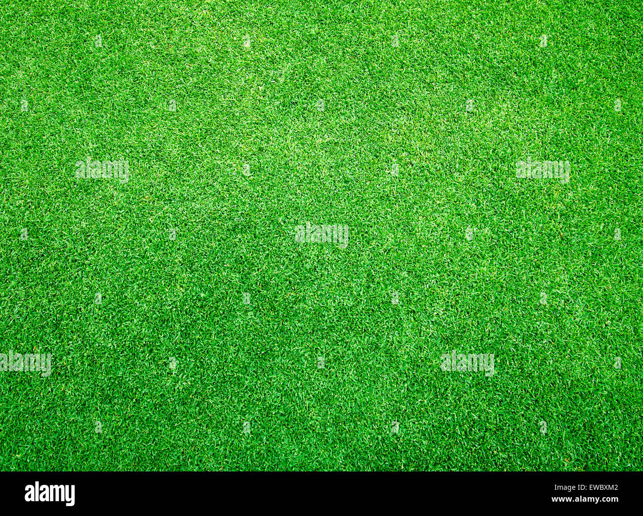 Golf prato verde modello astratto texture di sfondo. Foto Stock