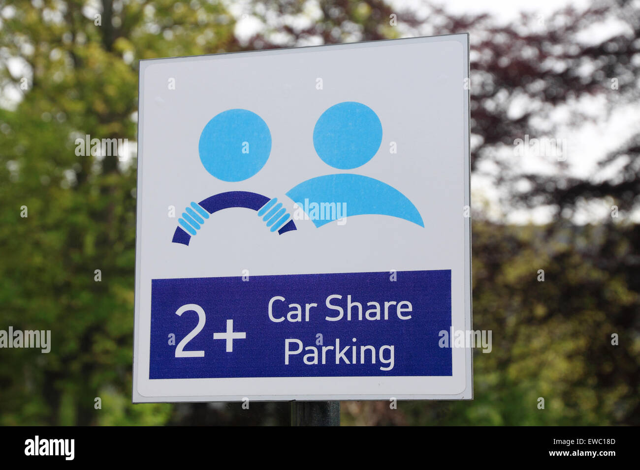 Segno per dedicata al car sharing spazi di parcheggio a Ayr, Scozia Foto Stock