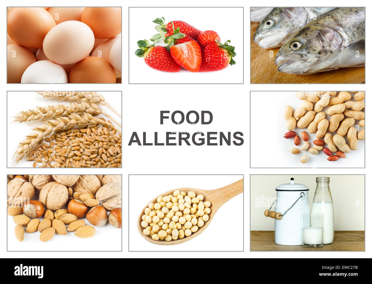 Allergia al concetto di cibo. Allergeni alimentari come uova, latte, frutta, frutta a guscio, arachidi, soia, frumento e pesce. Testo 'allergeni alimentari' facile Foto Stock