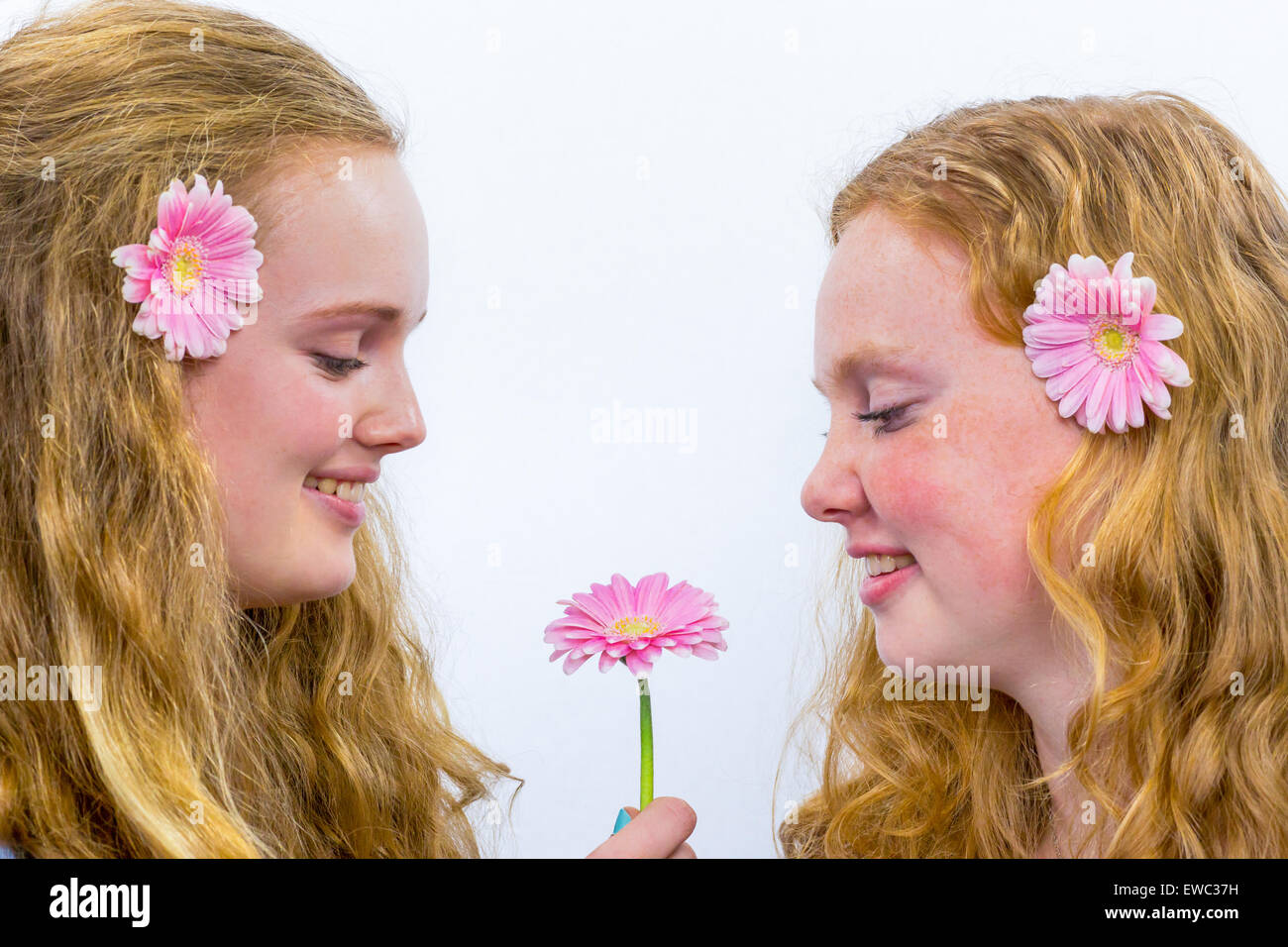 Due capelli lunghi olandese sorelle adolescenti con fiori di colore rosa isolato su sfondo bianco Foto Stock