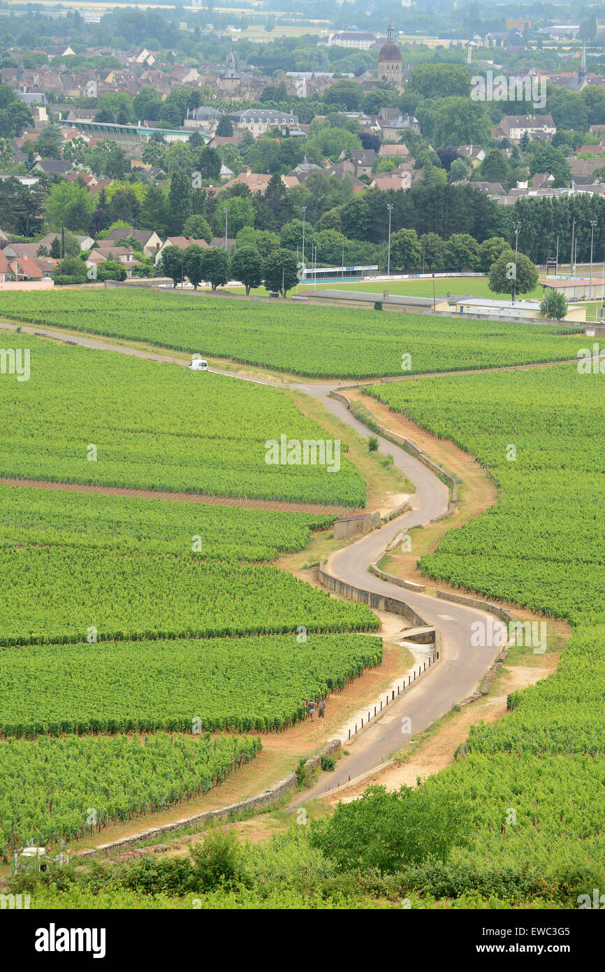 Beaune Premier Cru vigneti di Borgogna Francia Foto Stock