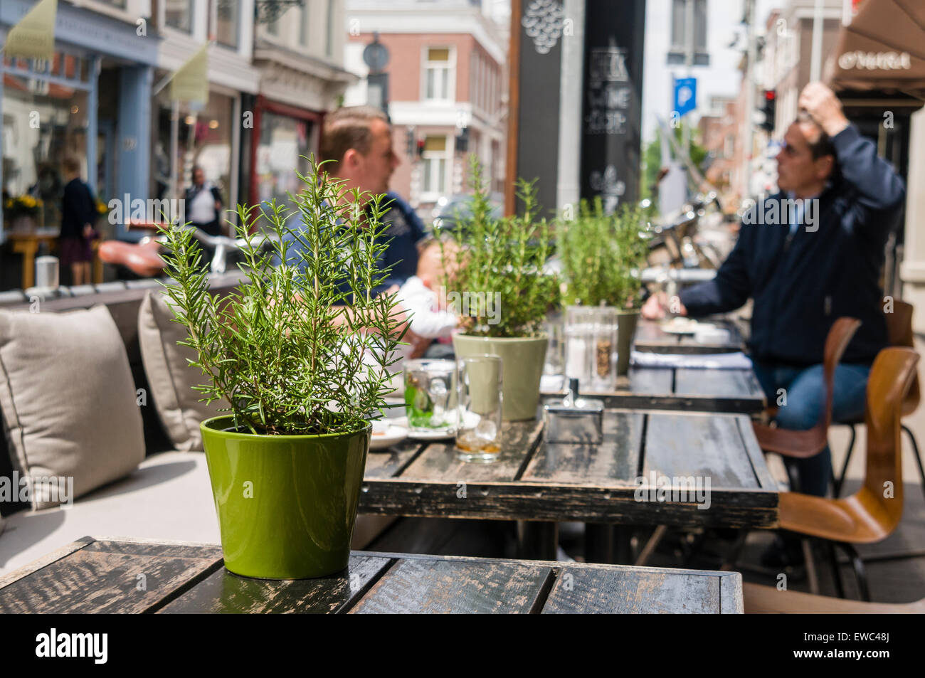 I tavoli fuori un bar olandese con vasi di rosmarino Foto Stock