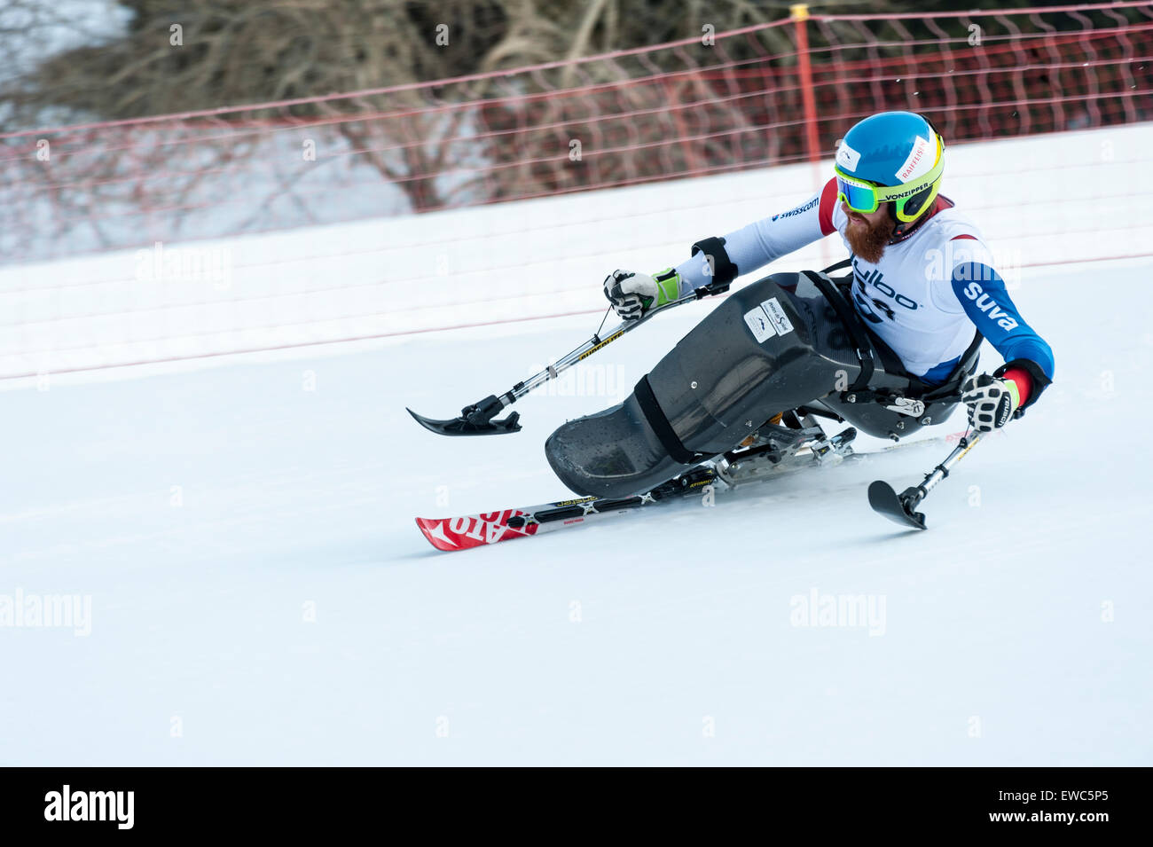 Un concorrente disabili utilizzando appositamente adattato attrezzatura da sci, corse in discesa in slalom gigante Foto Stock