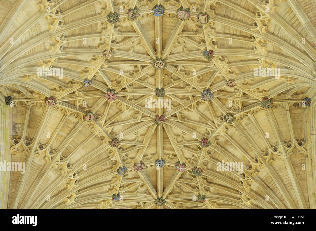 Il magnifico gotico medievale ventilatore soffitto a volte di Sherborne Abbey con la sua colorata borchie ornamentali. Il Dorset, Inghilterra, Regno Unito. Foto Stock