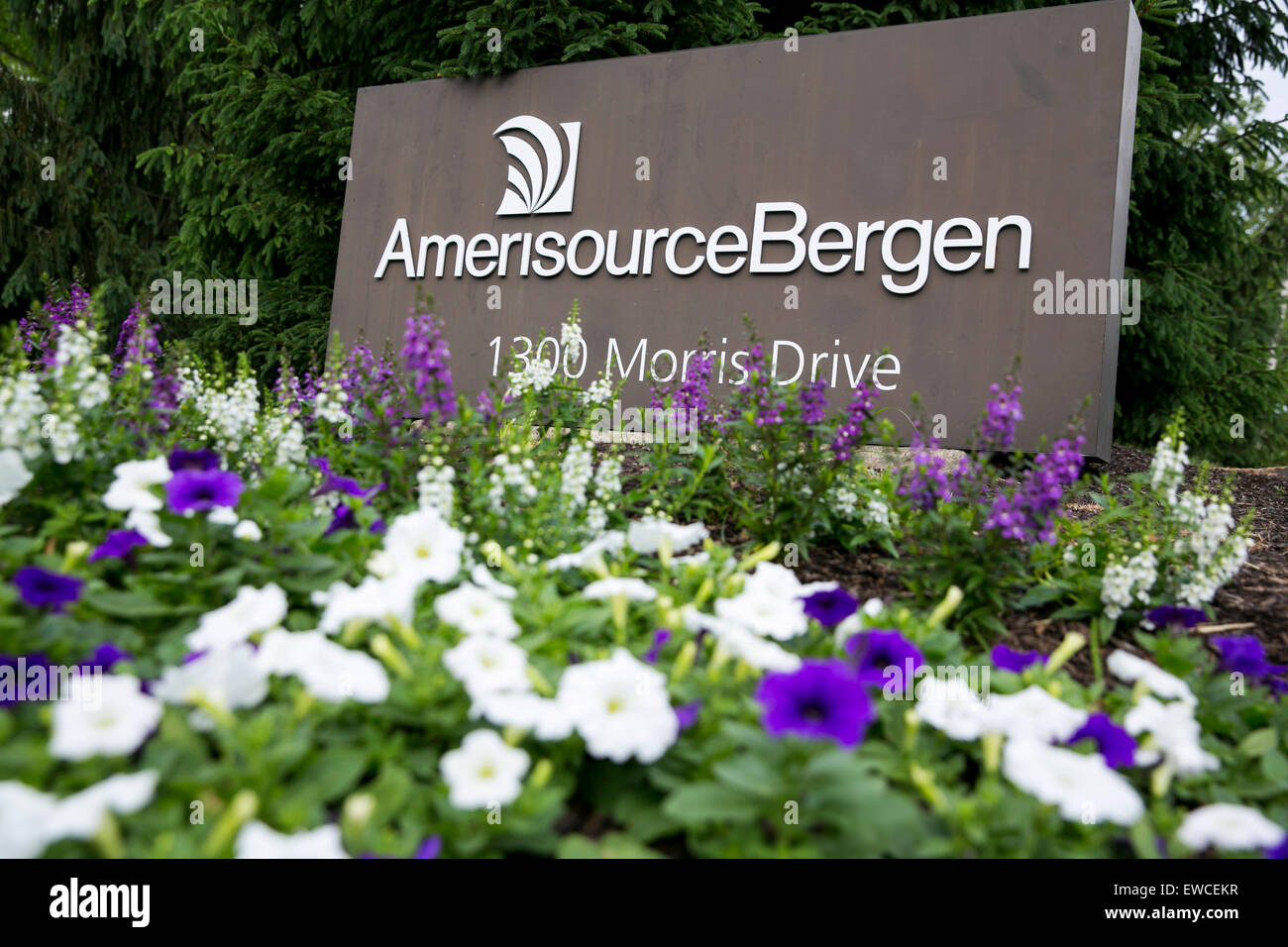 Un logo segno al di fuori della sede di AmerisourceBergen in Chesterbrook, Pennsylvania. Foto Stock