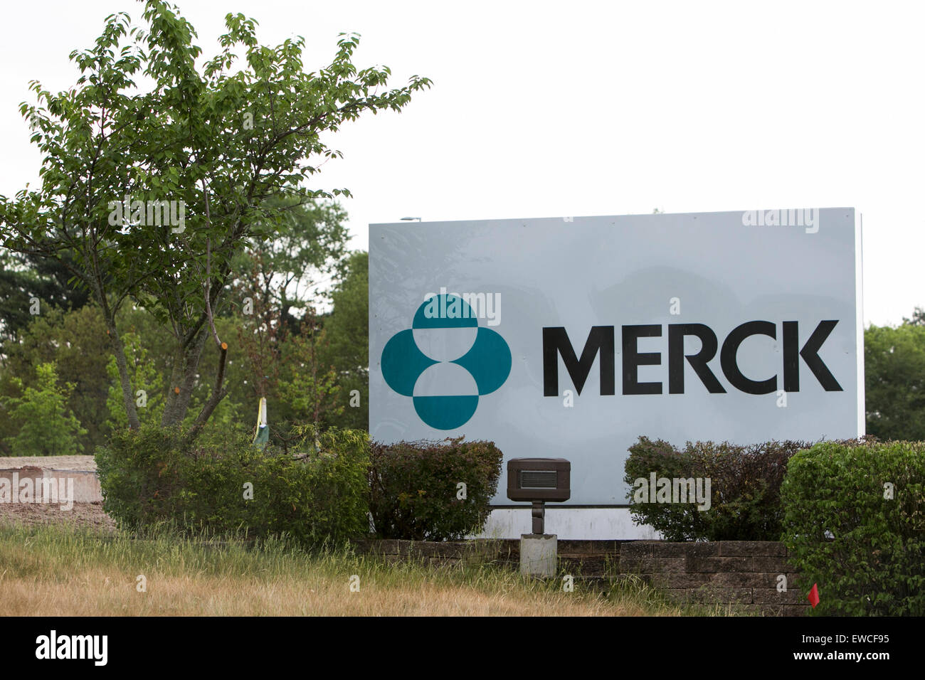 Un segno del logo al di fuori di una struttura occupata da Merck in Branchburg, New Jersey Foto Stock