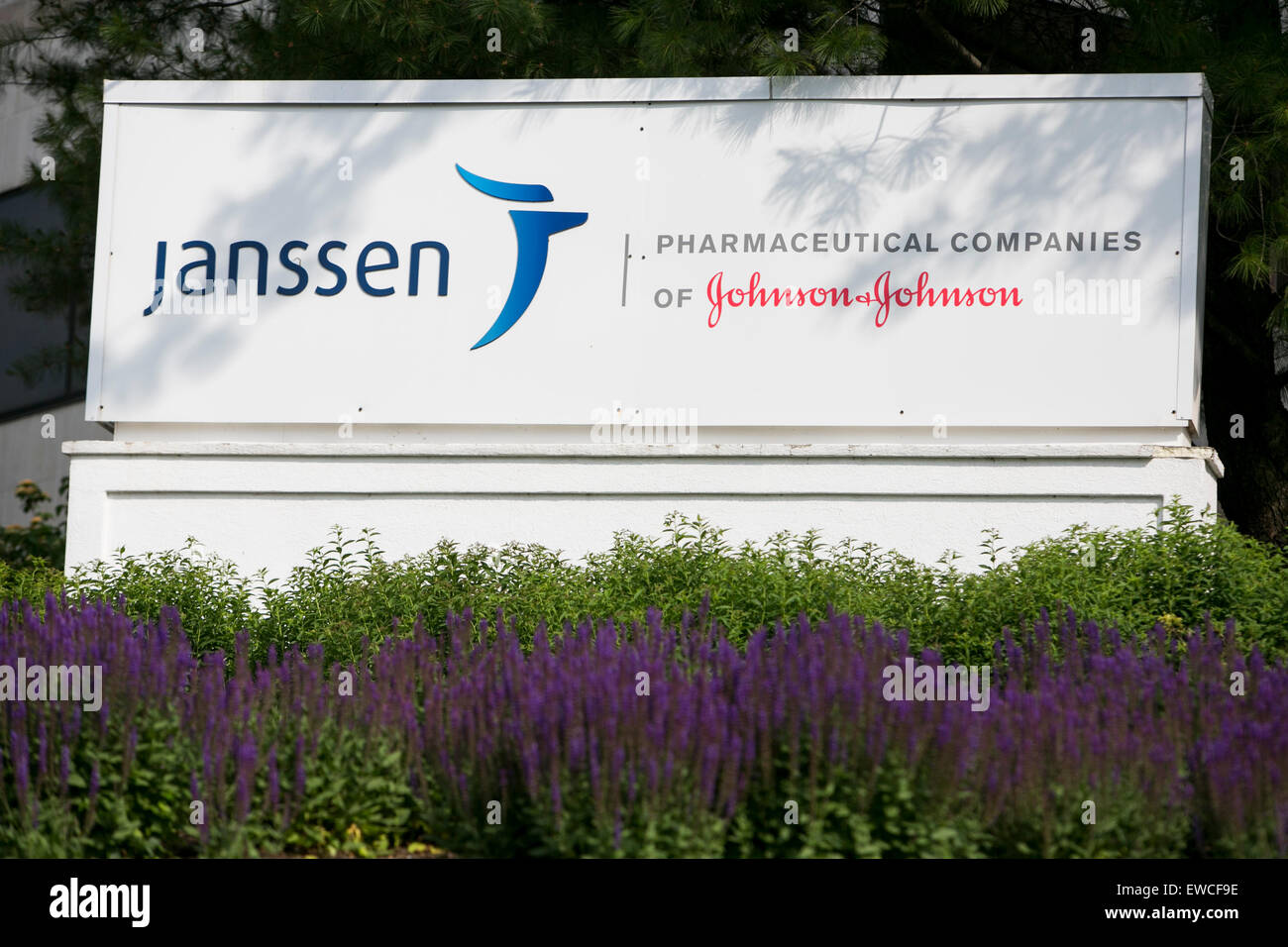 Un logo segno al di fuori della struttura occupata dalla Janssen Pharmaceuticals, filiale di Johnson & Johnson, a Somerville, New Jerse Foto Stock