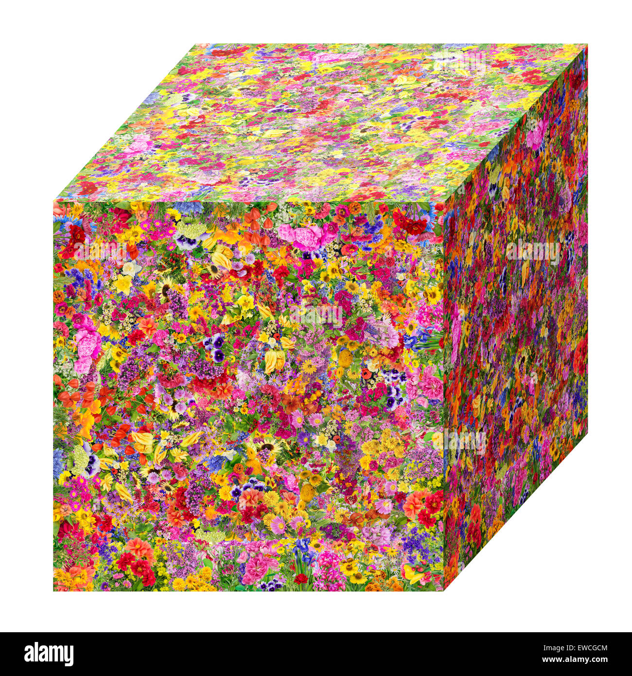 In estate il concetto del cubo è realizzato da luminosa fiori d'estate. Abstract fatti a mano collage isolato Foto Stock