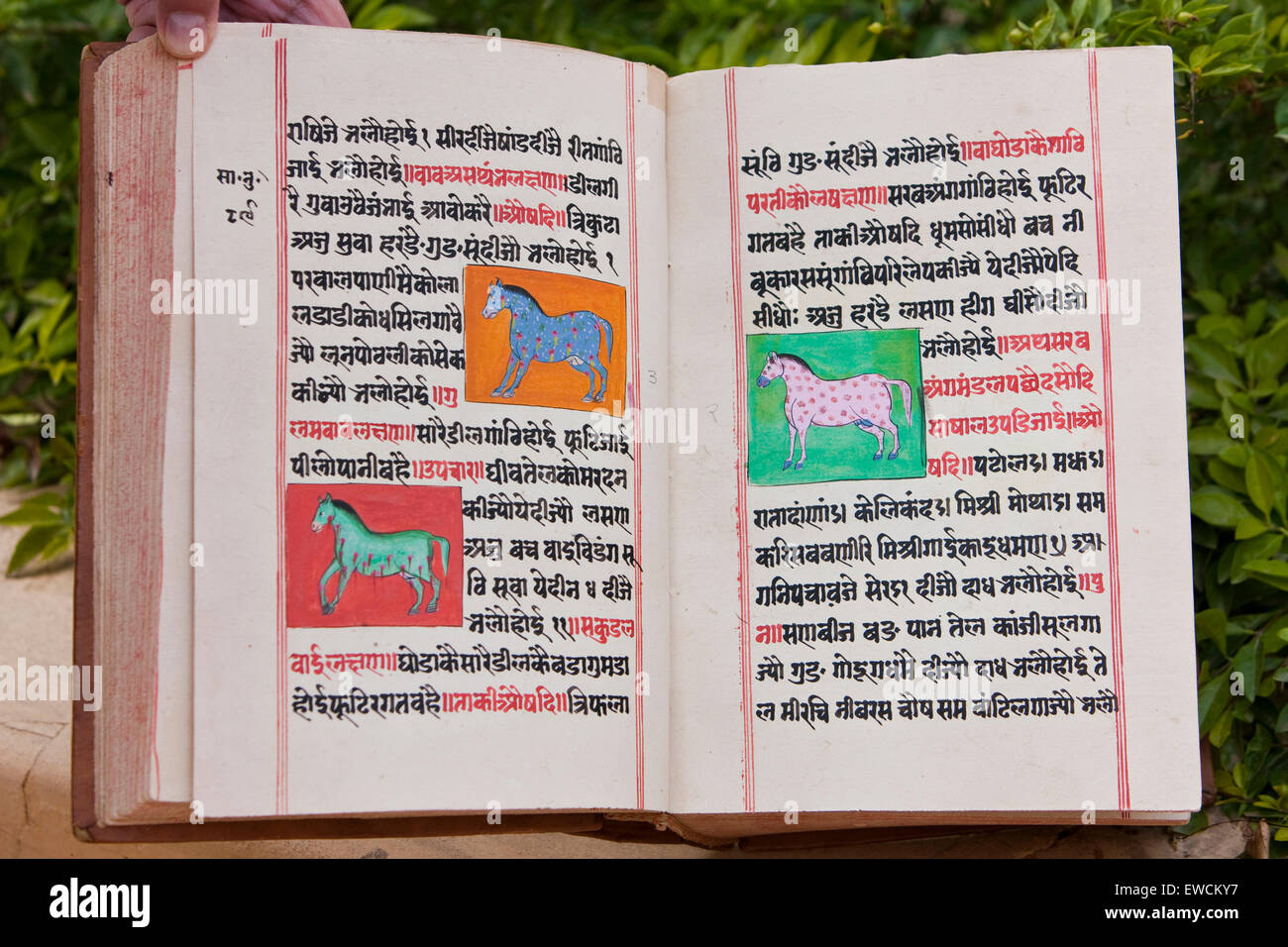 Asvasastram (scienza dei cavalli). Un libro illustrato di Equinology. Rajasthan, India Foto Stock
