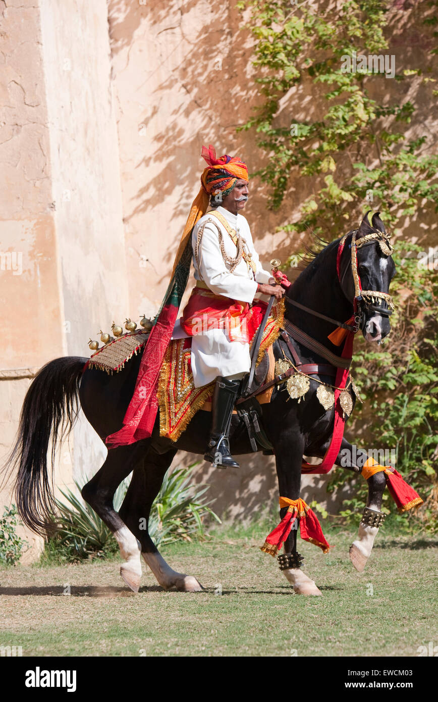 Marwari Horse. Stallone nero come dancing a cavallo con cavaliere. Rajasthan, India Foto Stock