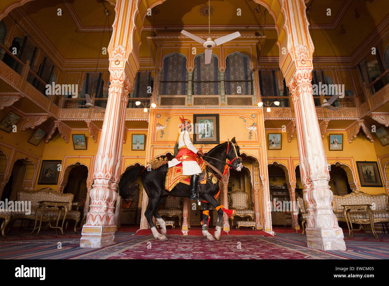 Marwari Horse. Stallone nero come dancing horse effettuando un Piaffe all'interno di un palazzo. Rajasthan, India Foto Stock