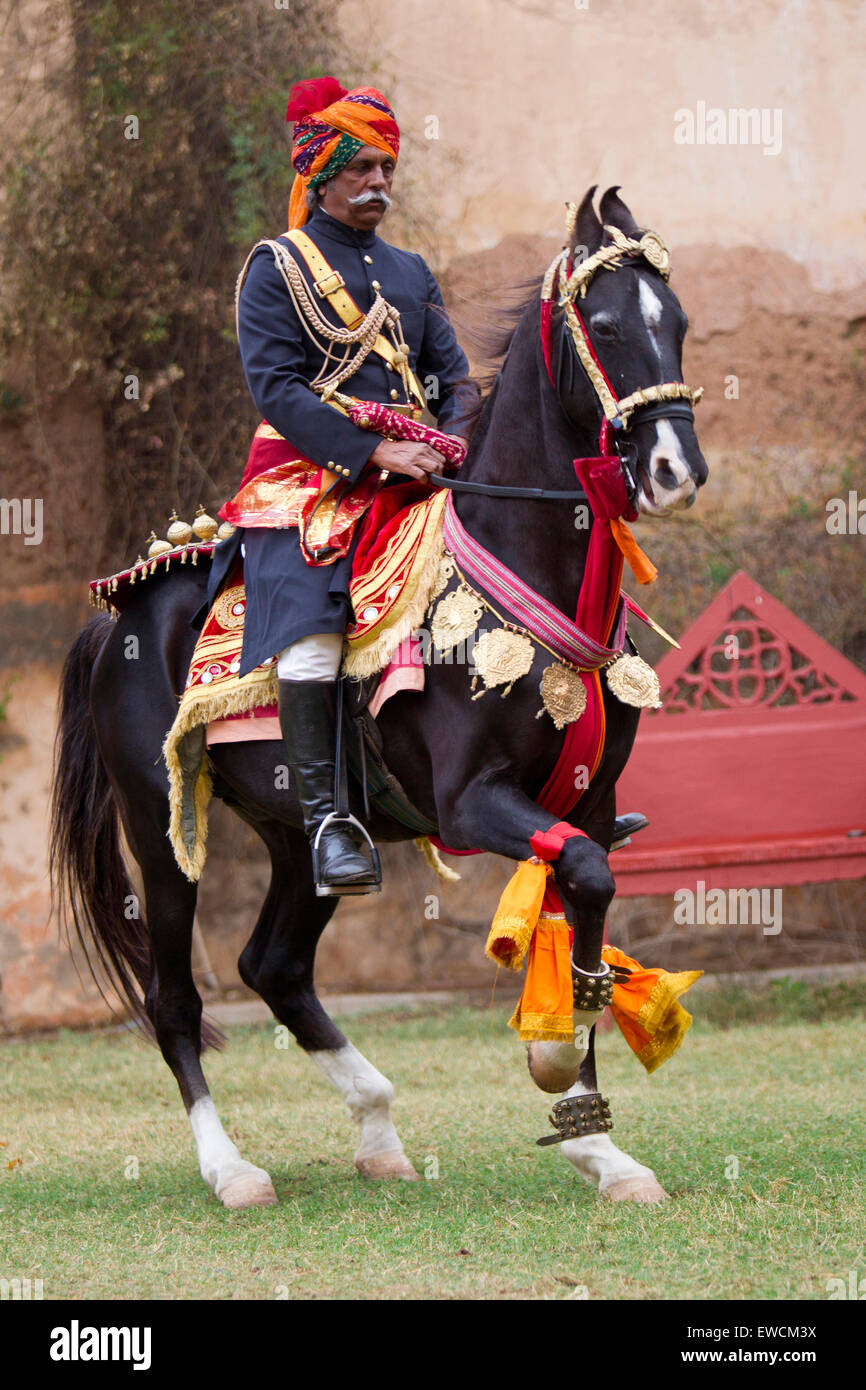 Marwari Horse. Stallone nero come dancing horse effettuando un Piaffe. Rajasthan, India Foto Stock
