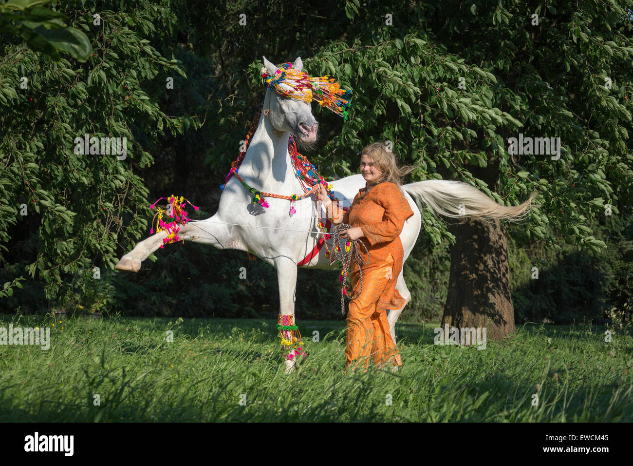 Karin Tillisch con cavalli Tiger eseguendo un cavallo danza nella tradizione indiana. Germania Foto Stock