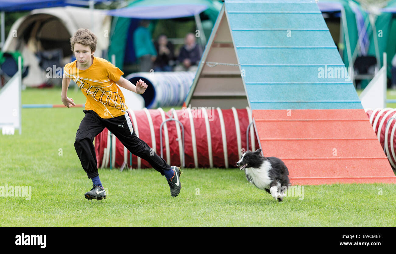 Un ragazzo e il suo cane di prendere parte ad una competizione di agilità. Germania Foto Stock