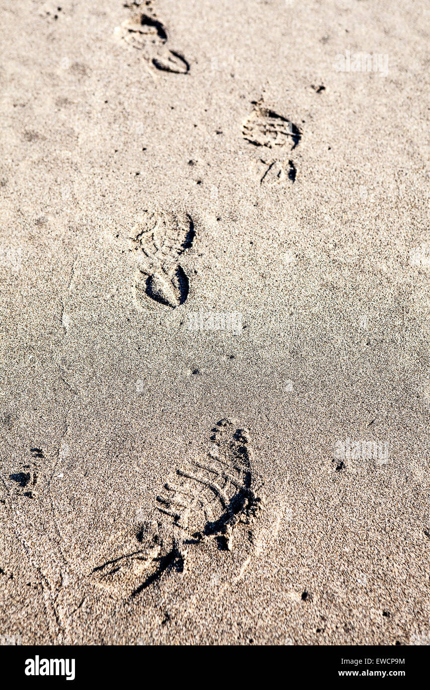 Orme nella sabbia sulla spiaggia in estate Foto Stock