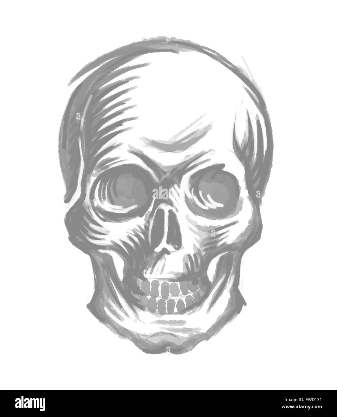 Arte ornamentale del cranio Foto Stock