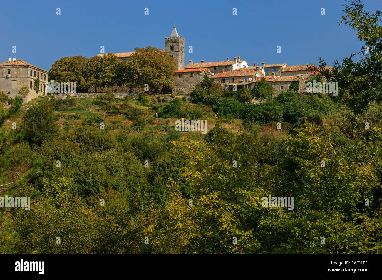 Vista del ronzio, ufficialmente elencata come la città più piccola del mondo. Istria, Croazia Foto Stock