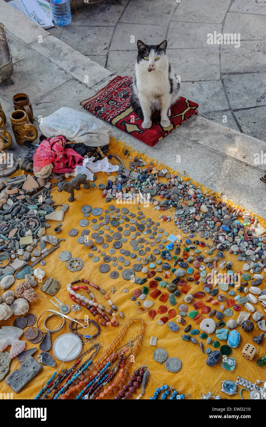Gli operatori di mercato cat. Amman, Giordania, Medio Oriente Foto Stock