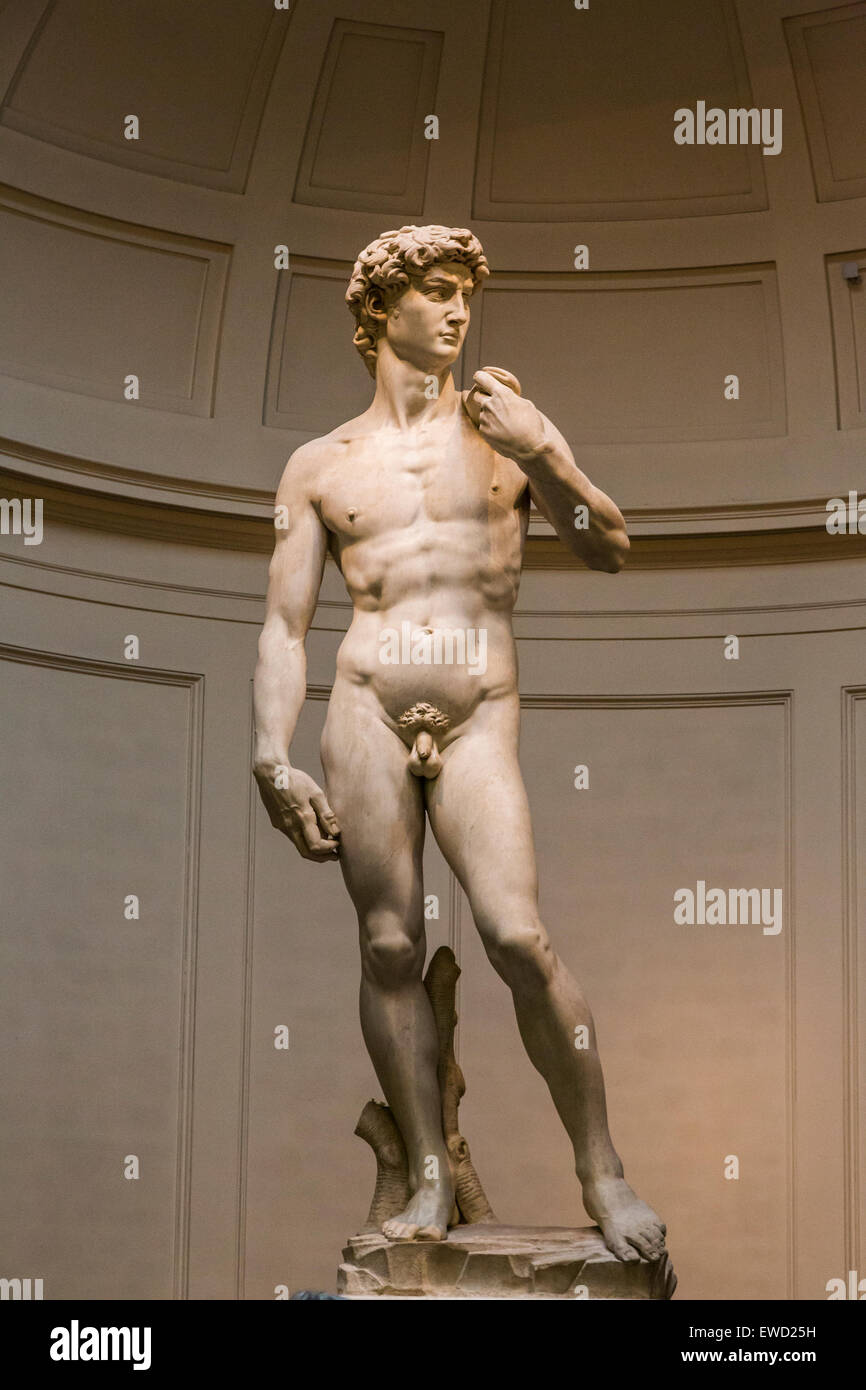 Statua del David di Michelangelo, Galleria dell'Accademia, Firenze, Italia Foto Stock