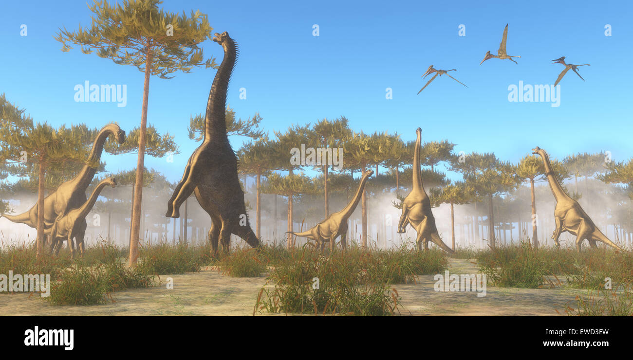 Brachiosaurus era un erbivoro sauropod dinosaur che visse nel Giurassico Età del Nord America. Un Brachiosaurus mandria sfoglia o Foto Stock