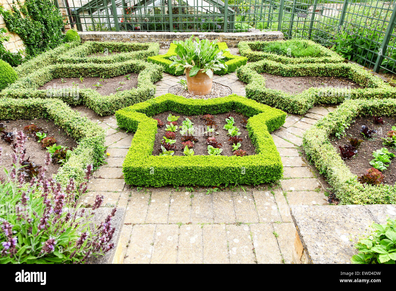 I giardini di Bourton House Bourton sulla collina Glousestershire England Regno Unito Foto Stock