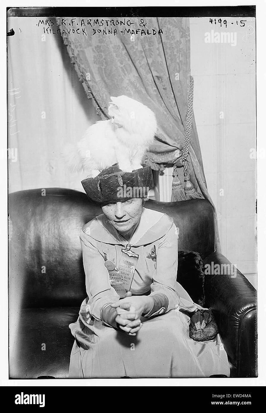 La signora RF Armstrong con il gatto Kilravock Donna-Mafalda, che presenta le caratteristiche distintive della razza e il legame tra il soggetto e l'animale domestico. Foto Stock