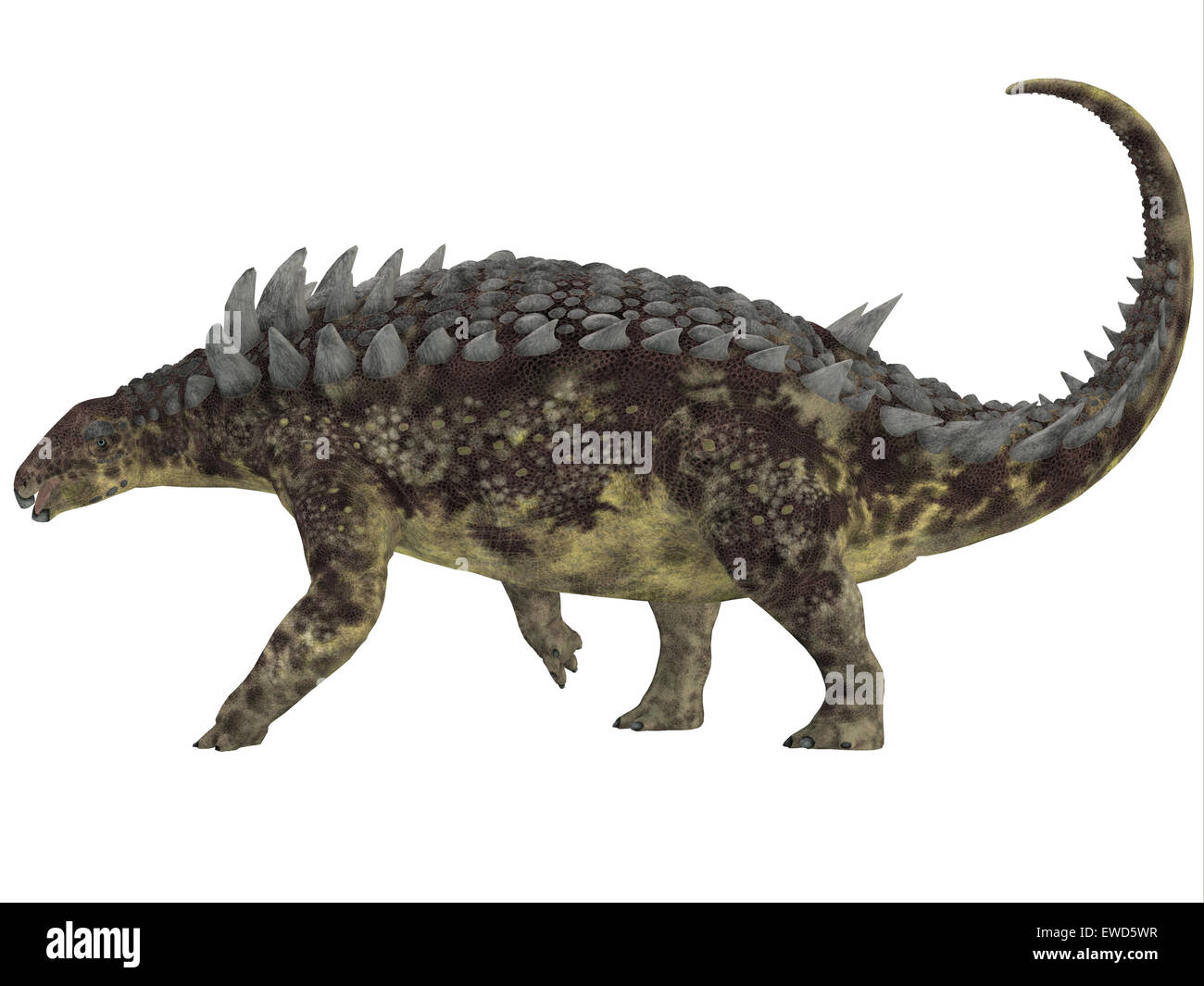 Hungarosaurus era un ankylosaurid dinosauro erbivori che vivevano in Ungheria durante il Cretacico. Foto Stock