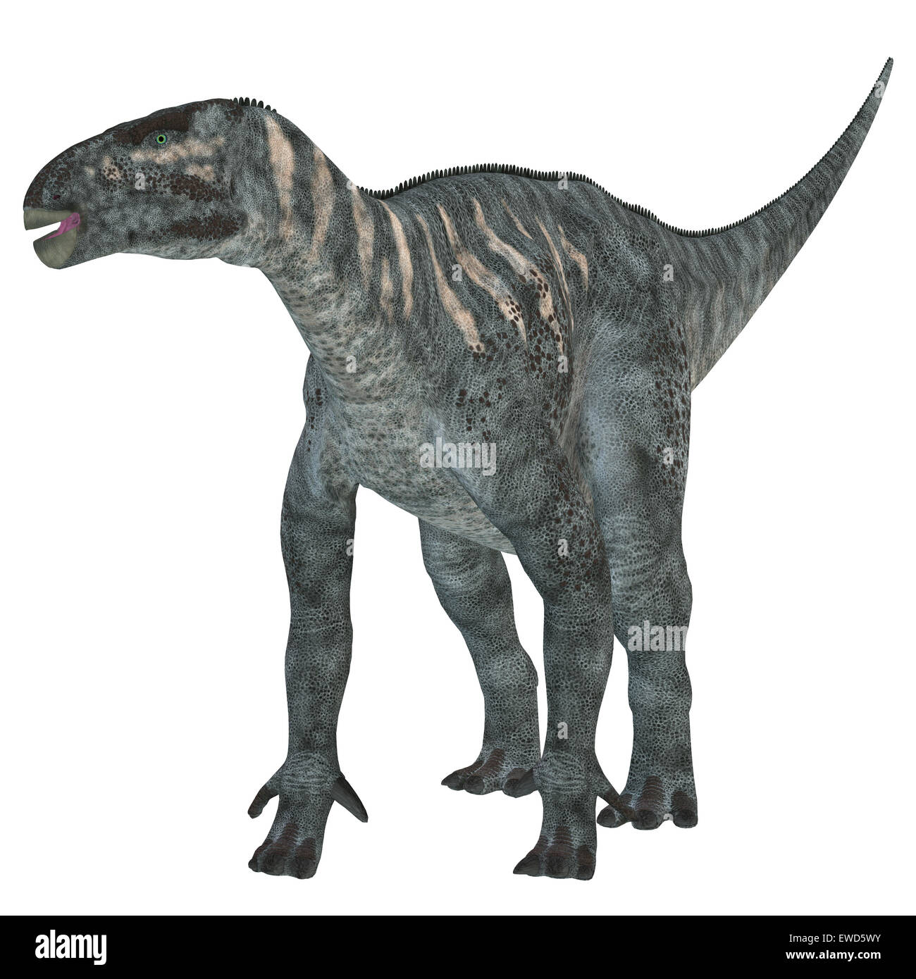 Iguanodon era un dinosauro erbivoro che visse in Europa durante il  Cretacico Foto stock - Alamy