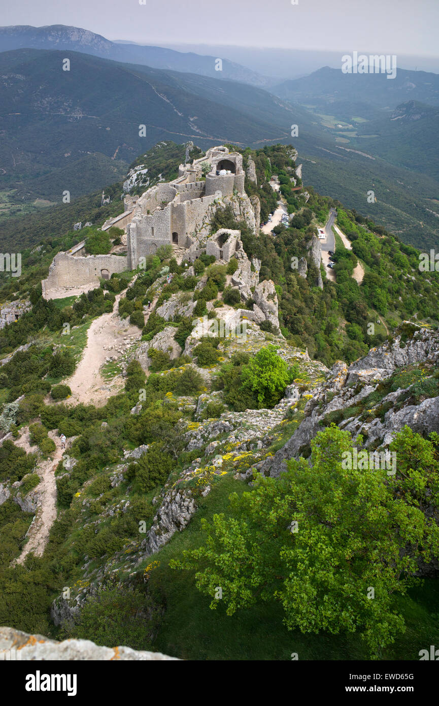 Peyrepertuse castello cataro, Pirenei francesi Foto Stock