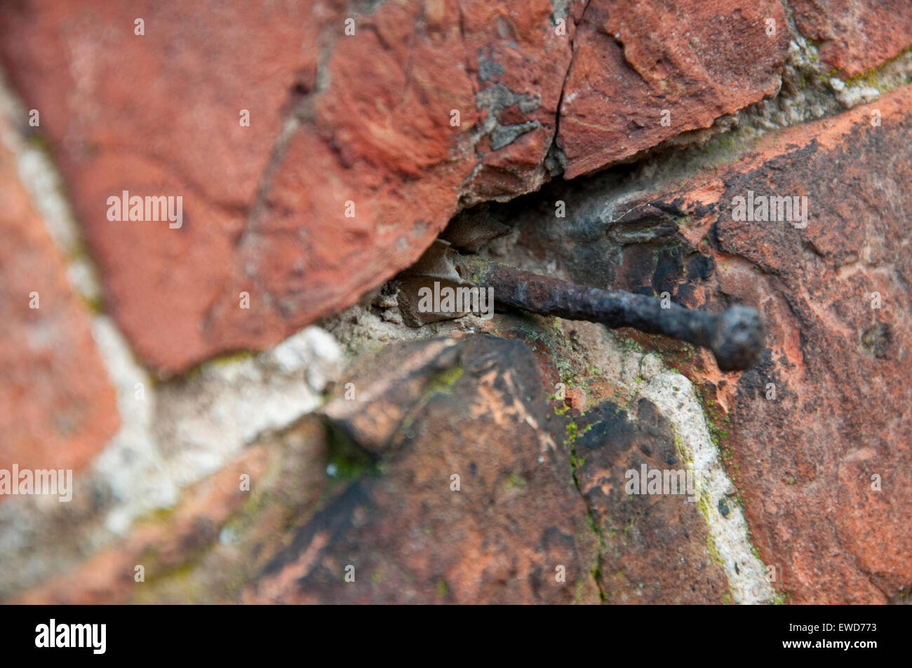 Chiodo arrugginito in una parete a Wollaton Hall di Nottingham England Regno Unito Foto Stock