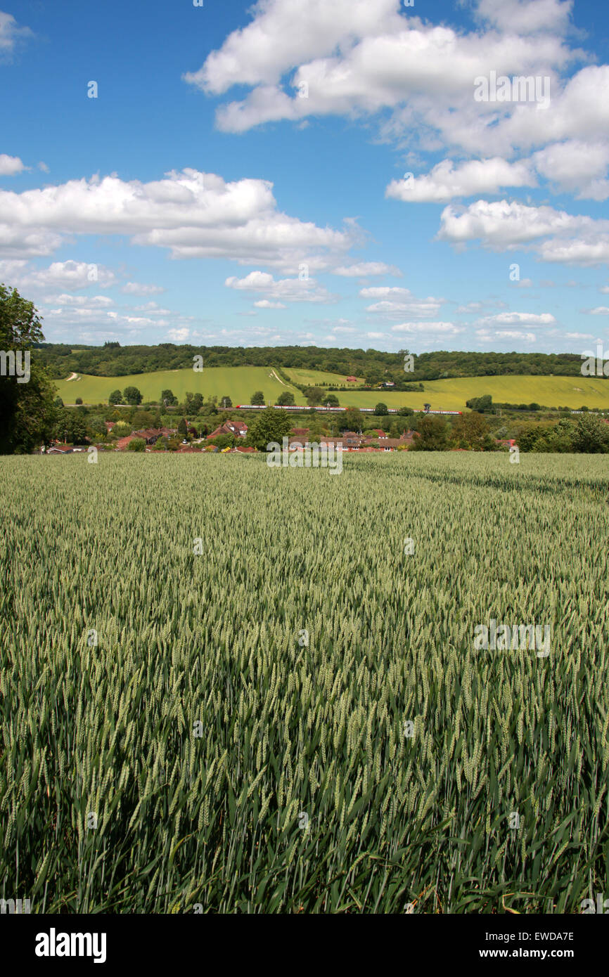 Treno sulla Londra a Manchester Linea principale attraverso il Chiltern Hills vicino Cowroast e Tring, Hertfordshire, Regno Unito Foto Stock