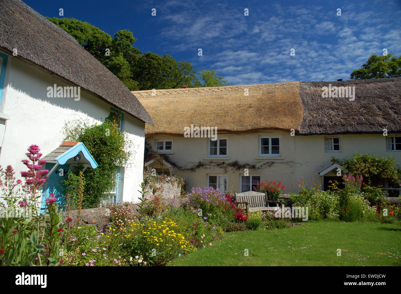 Graziosi cottage con il tetto di paglia a georgeham, North Devon, in Inghilterra. Foto Stock