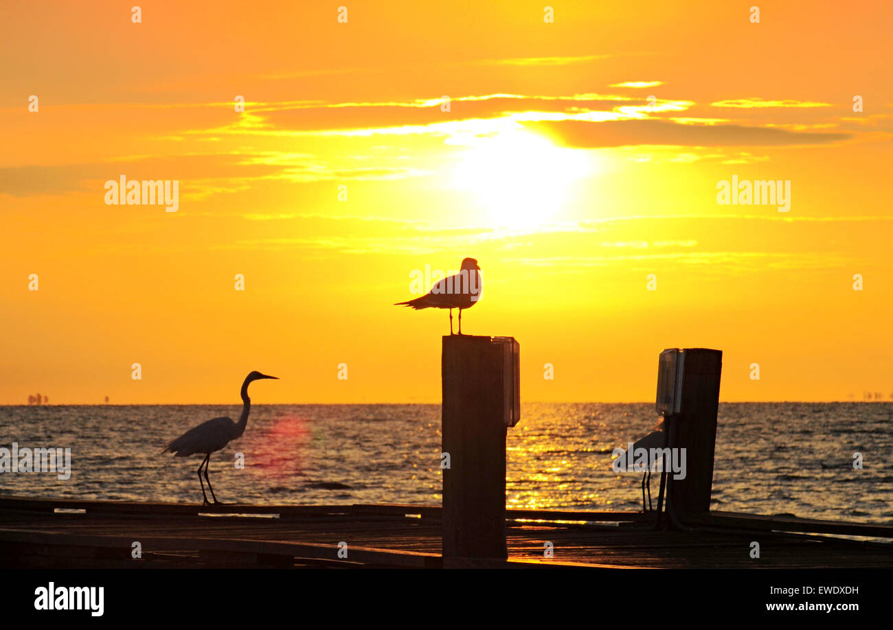 Anna Maria Island, Florida, Stati Uniti. 24th giugno 2015. Un inizio glorioso della giornata al molo della città dopo una notte di tempeste. Meno umido con una leggera brezza. Temperatura attualmente 78 gradi F ma che si riscalda rapidamente come il sole aumenta Foto Stock