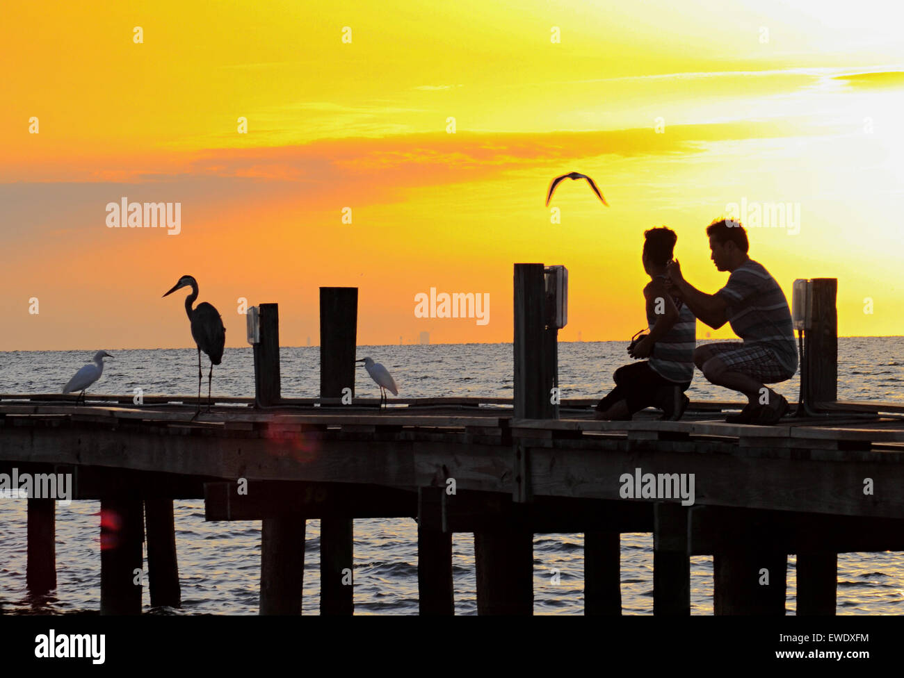 Anna Maria Island, Florida, Stati Uniti. 24th giugno 2015. Un inizio glorioso della giornata al molo della città dopo una notte di tempeste. Meno umido con una leggera brezza. Temperatura attualmente 78 gradi F ma che si riscalda rapidamente come il sole aumenta Foto Stock