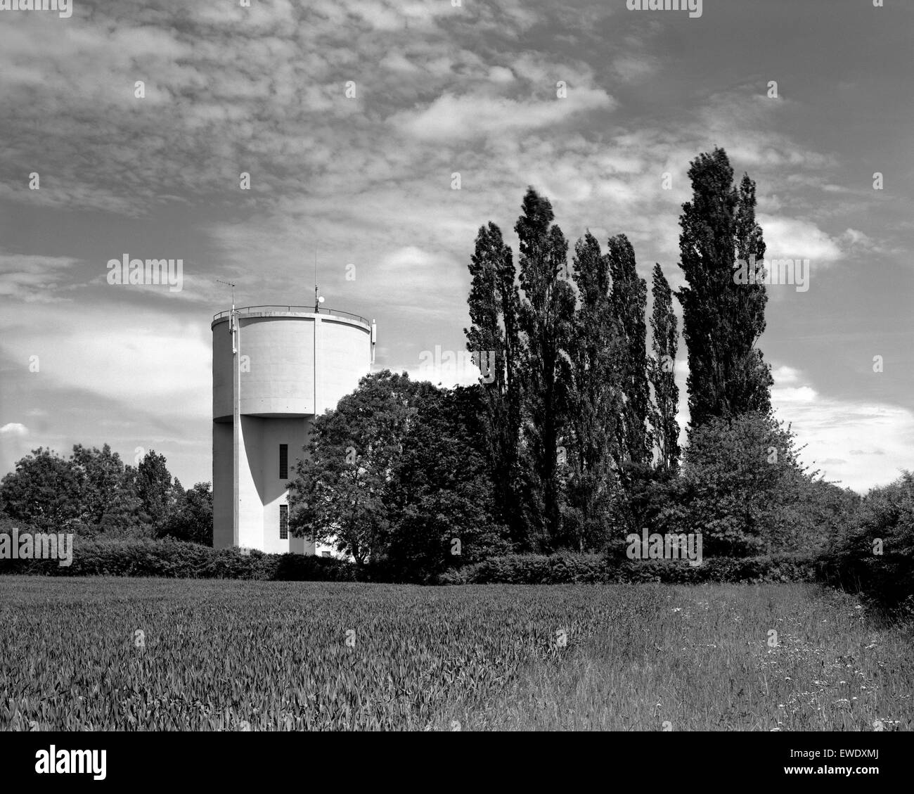 Water Tower e pioppi grande Gransden Cambridgeshire Foto Stock