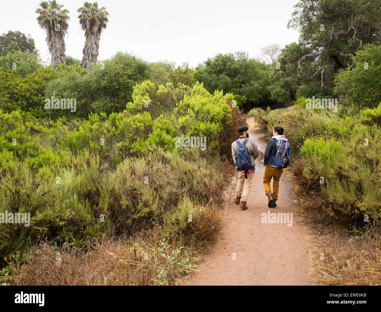 Due giovani uomini a camminare in un parco Foto Stock