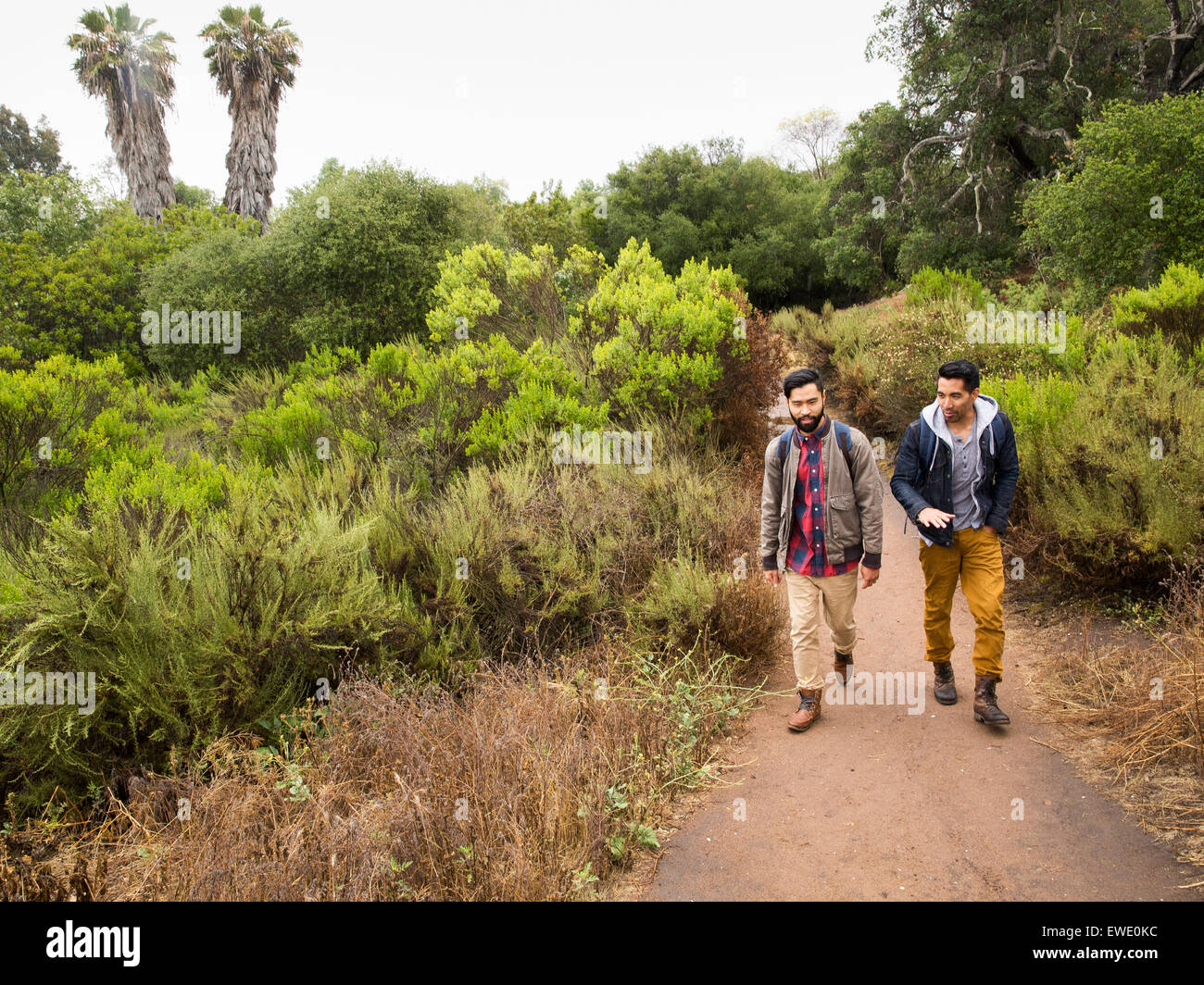 Due giovani uomini a camminare in un parco Foto Stock