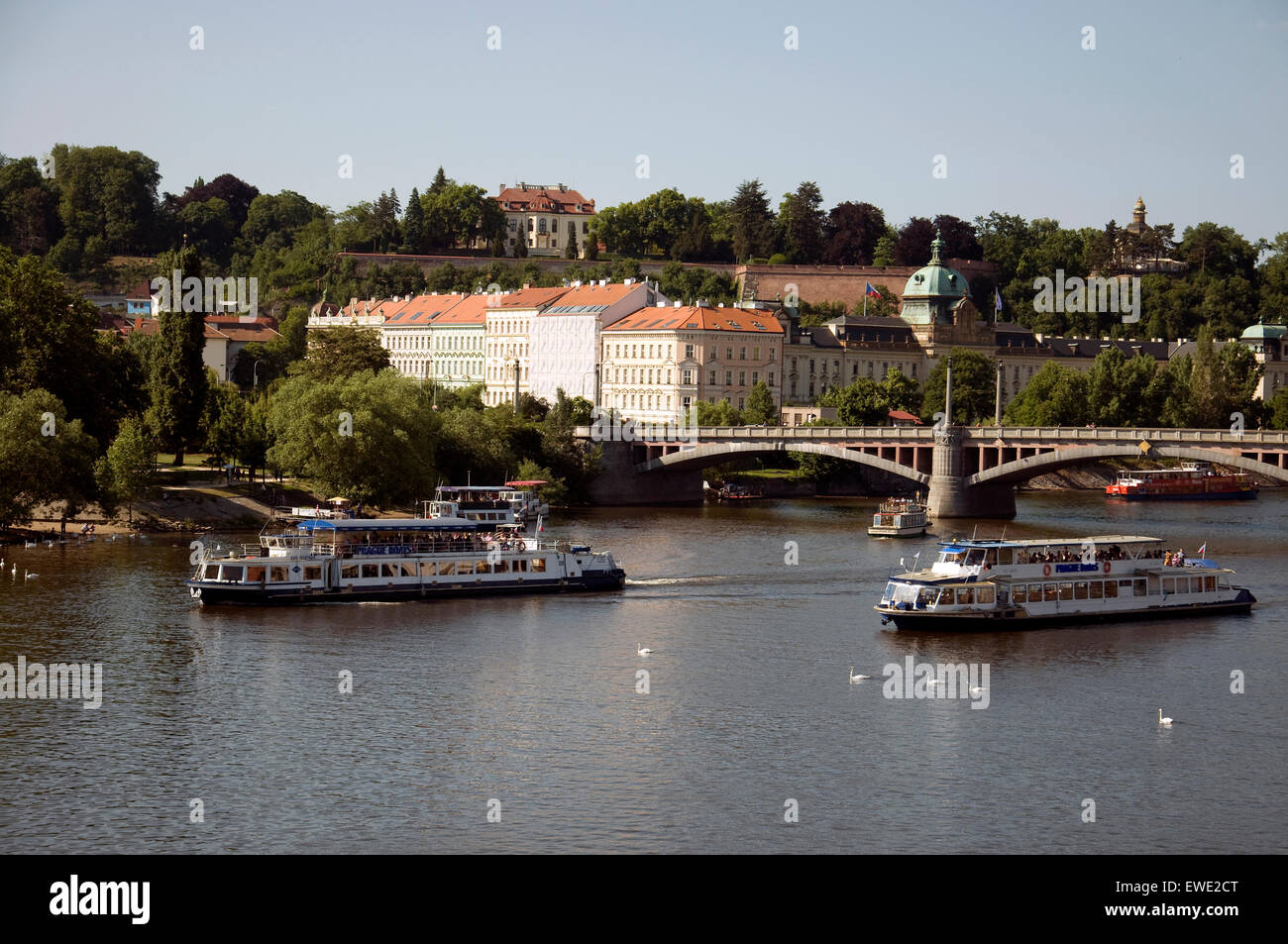 Praga è potente fiume Moldava, adornata con cigni, divide la città antica ricca di cultura e monumenti storici Foto Stock