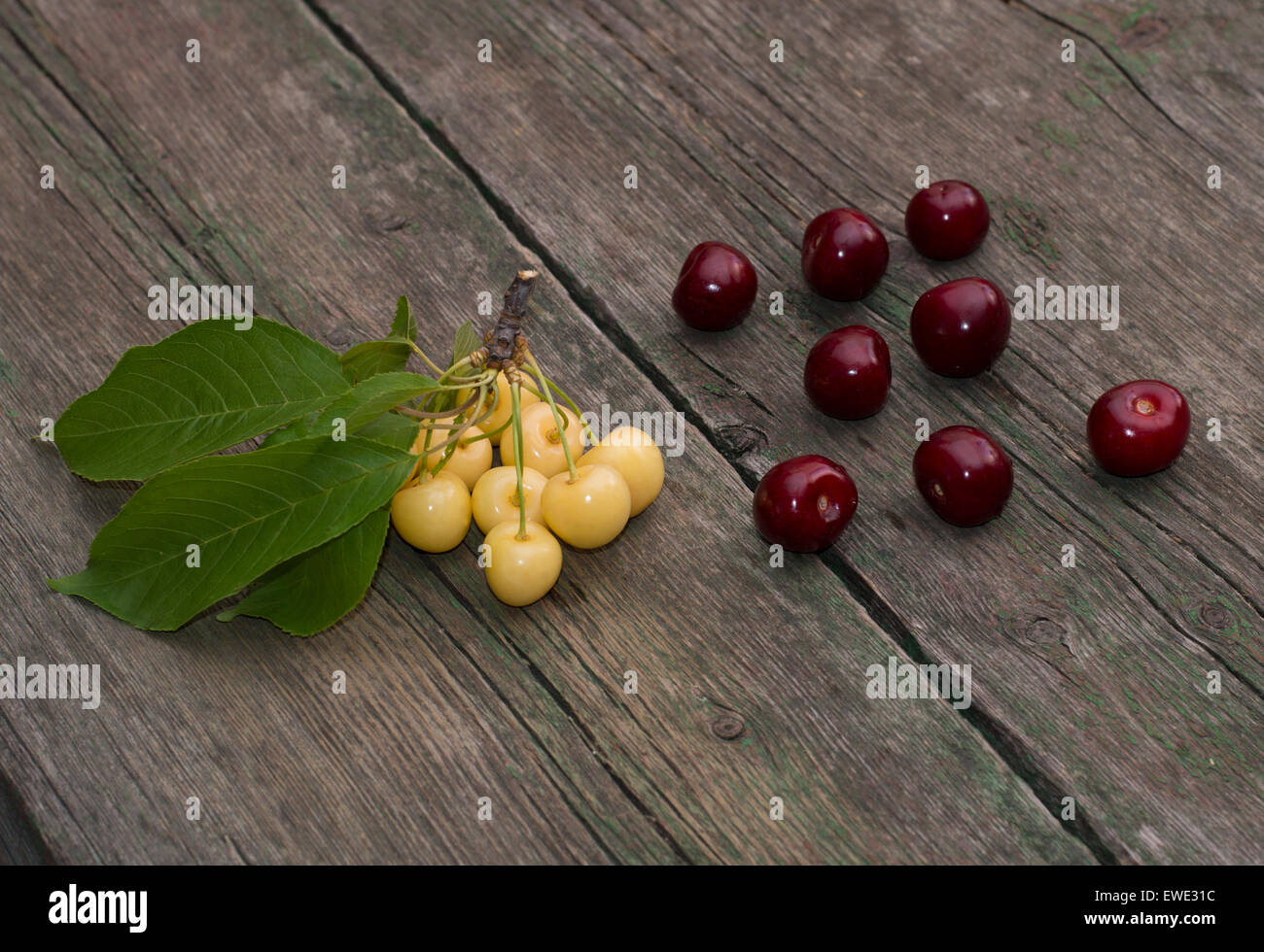 Rosso ciliegio dolce ed il ramo di bianco ciliegio dolce sul vecchio PC desktop Foto Stock