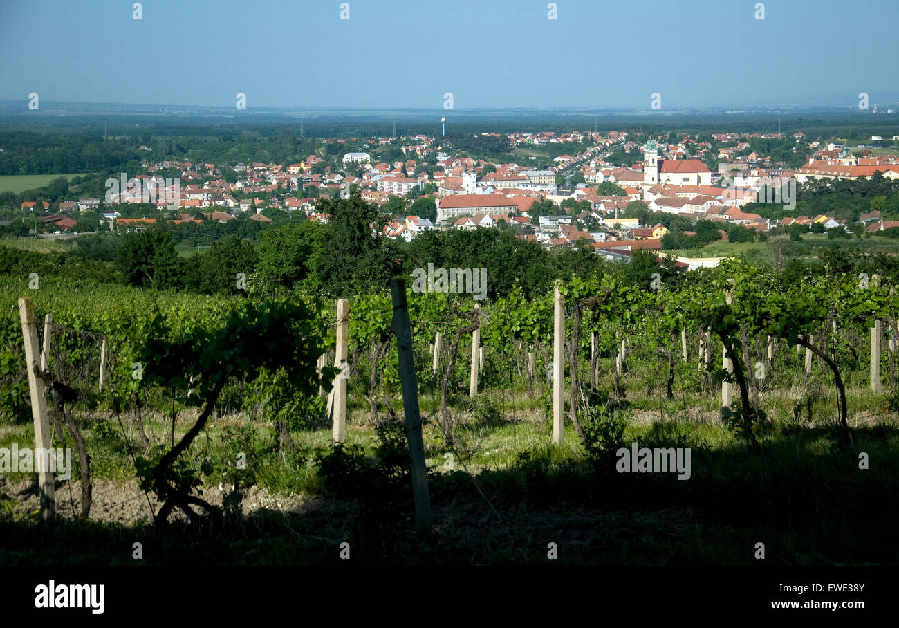 Valtice, Repubblica Ceca città rinomata per i vini, visto al di là di una collina vigneto Foto Stock