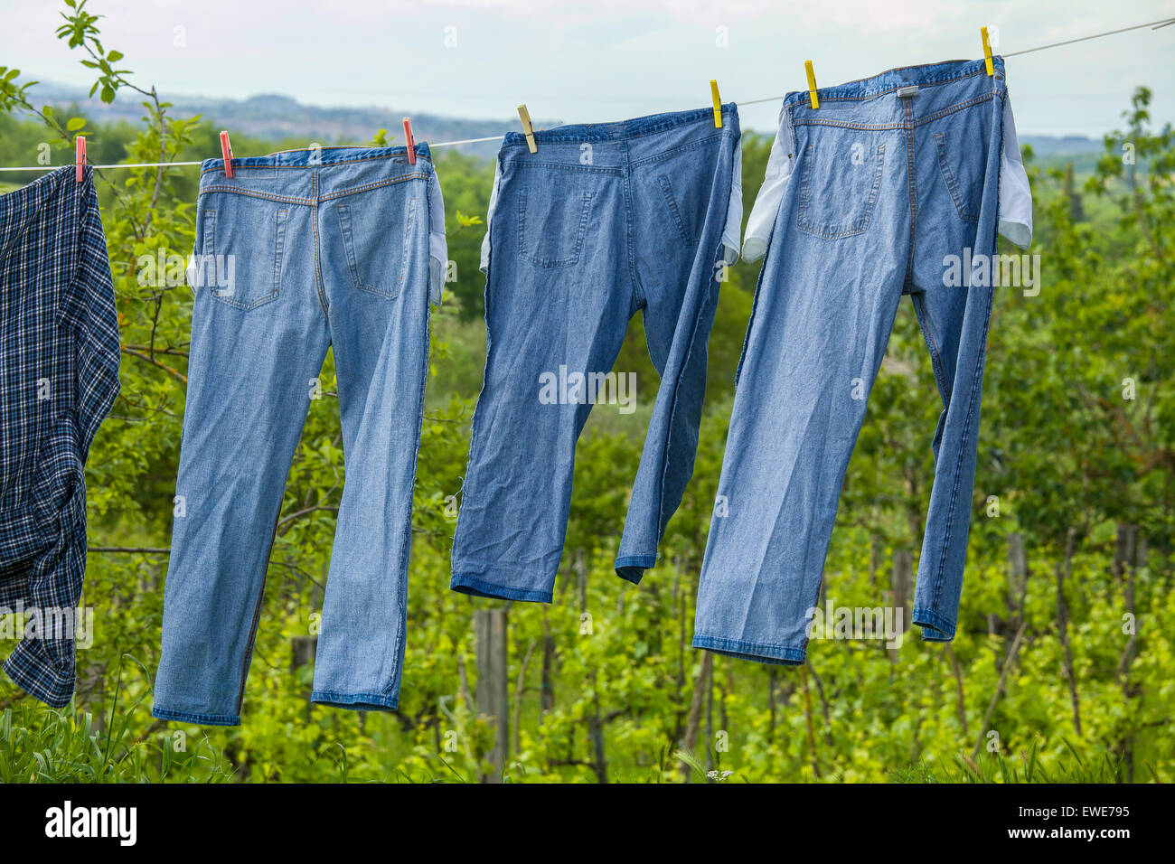 Jeans blu su uno stendibiancheria per asciugare Foto Stock