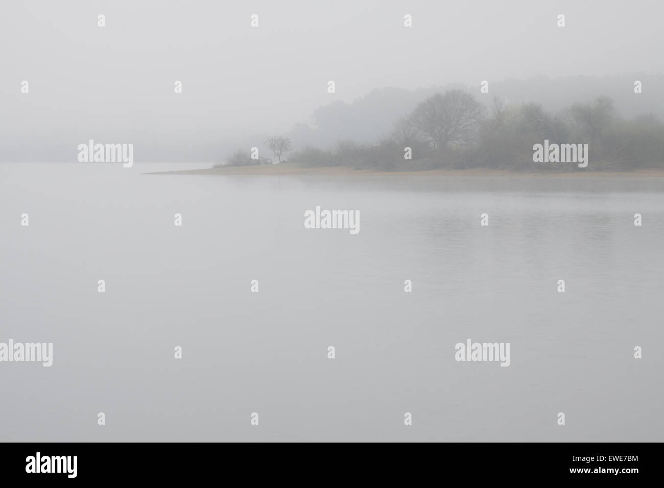 La nebbia nella palude Foto Stock