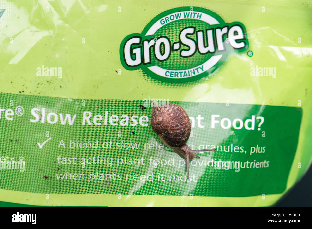 Giardino lumaca su GRO-certi alimenti vegetali il pacchetto Foto Stock
