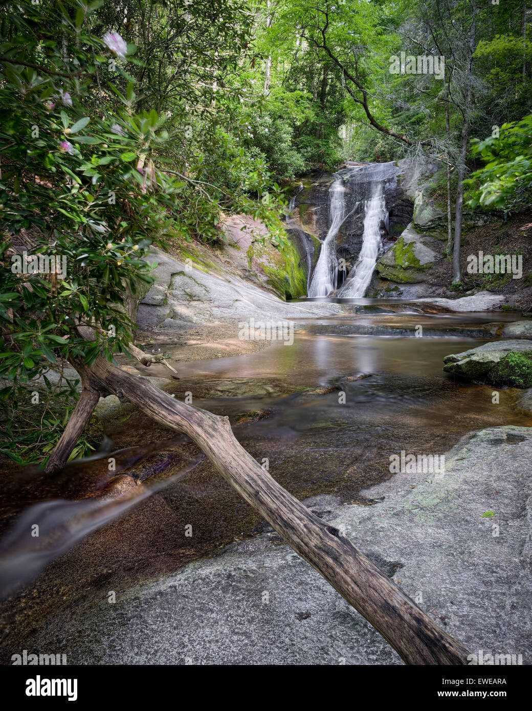 Le vedove Creek Falls in Stone Mountain State Park. Gap ruggenti Carolina del Nord Foto Stock