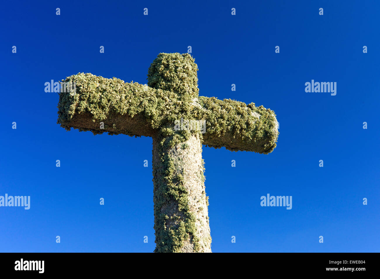 Il Lichen - coperta croce di pietra, Spagna Foto Stock